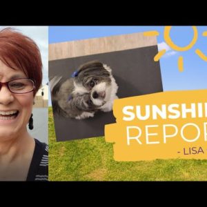 Sunshine Report by Lisa Ortiz Your Savannah Georgia Real Estate Agent