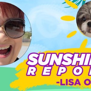 Sunshine Report by Lisa Ortiz Your Savannah Georgia Real Estate Agent