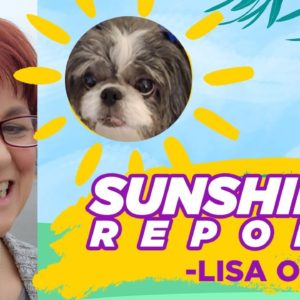 Sunshine Report by Lisa Ortiz Your Savannah Georgia Real Estate Agent