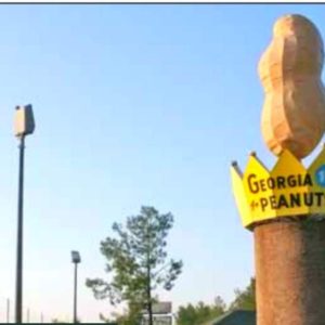 I75 Peanut Monument